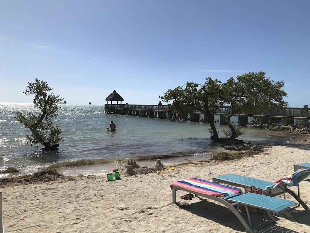Tropical Daze Oceanfront Paradise Tavernier Exterior foto